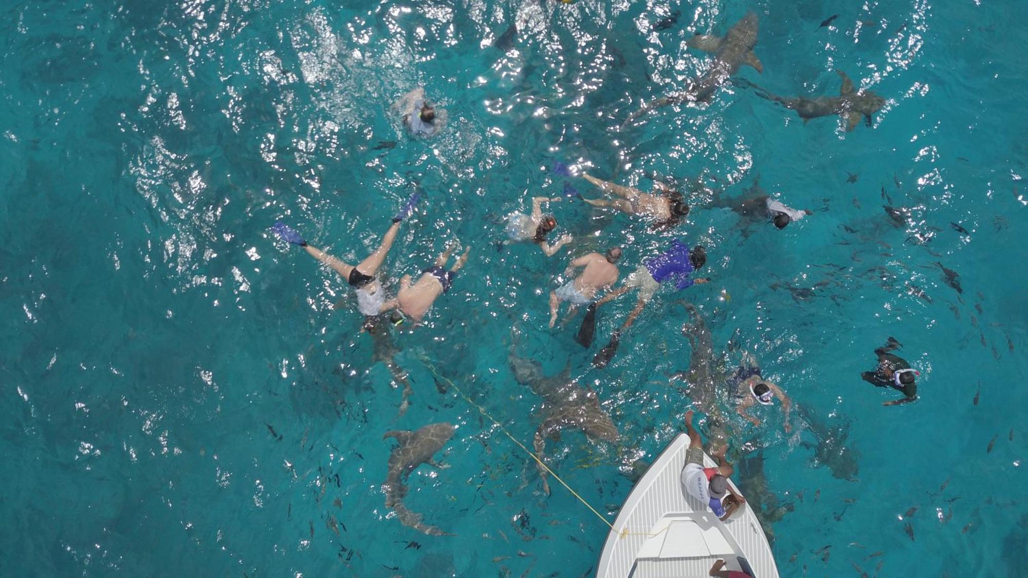 מלון Ocean Pearl Maldives At Gulhi Island מראה חיצוני תמונה