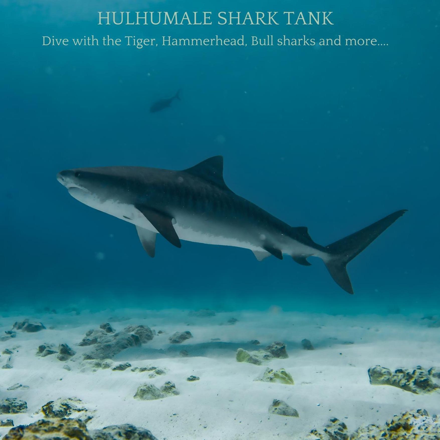 מלון Ocean Pearl Maldives At Gulhi Island מראה חיצוני תמונה
